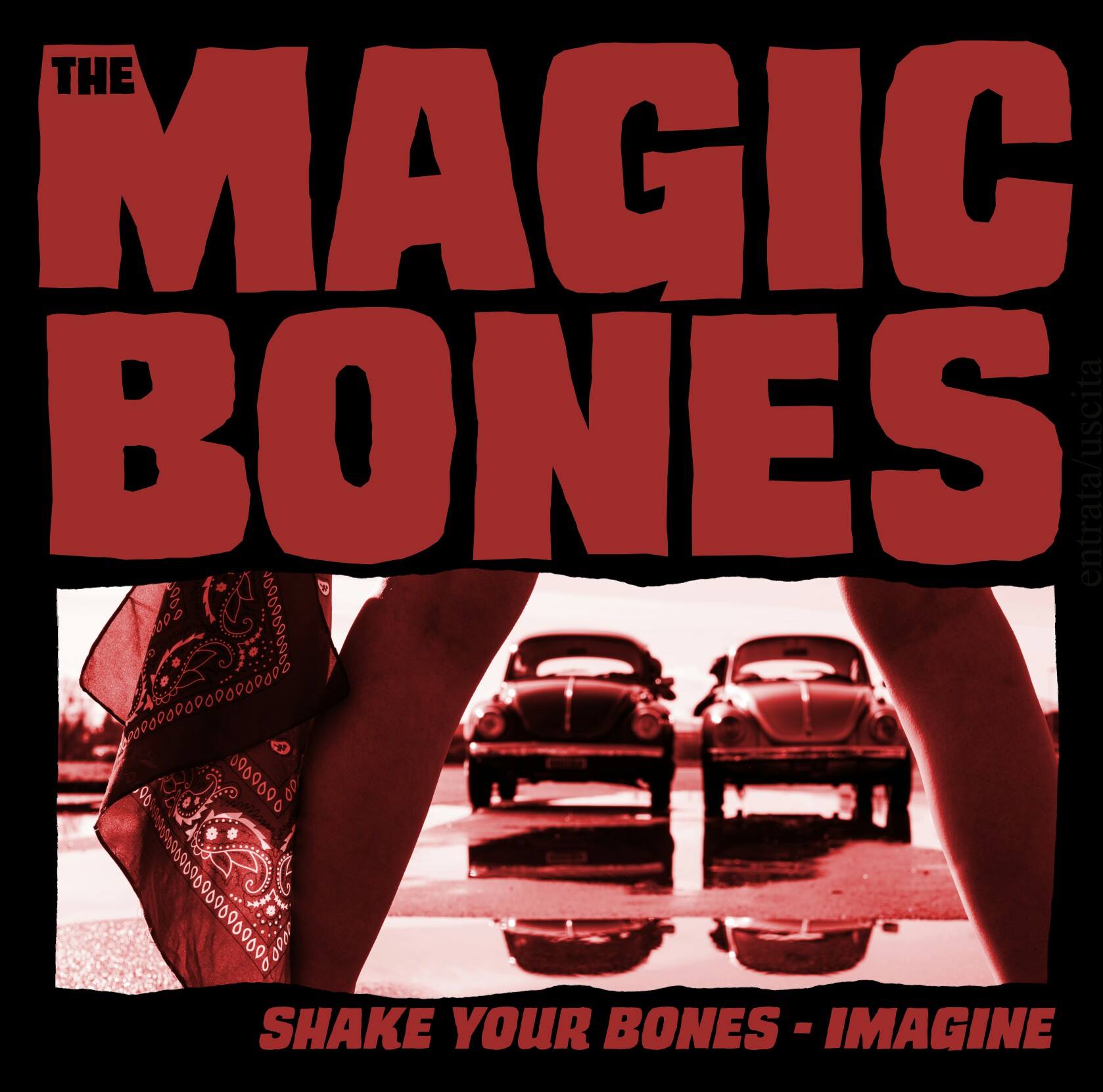 Magic Bones